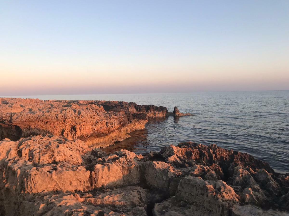 Unique Luxurious Case de vacanță