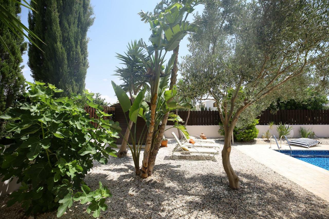 Case de vacanță Unique Luxurious